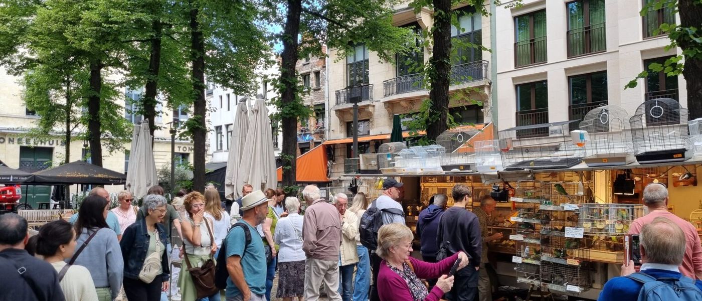 Vogeltjesmarkt en Oudevaartplaats dichtbij Tabakvest
